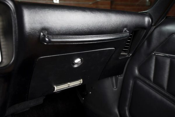 1979 Pontiac Firebird - Image 4