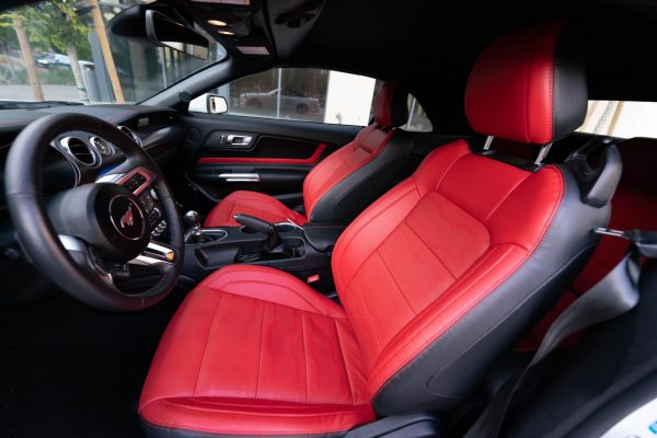 2022 Ford Mustang GT Premium - Image 13