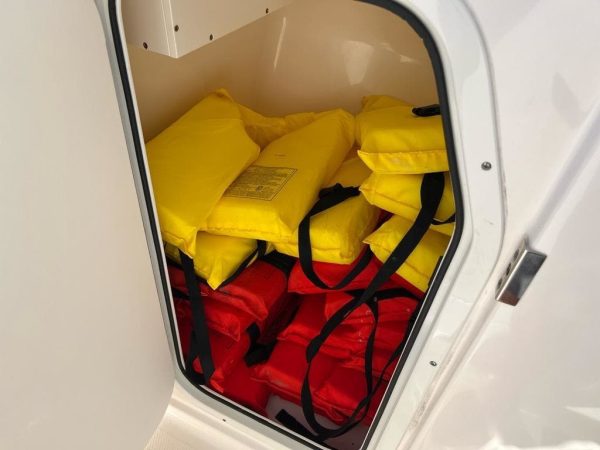 2018 Pursuit DC 265 - Image 35
