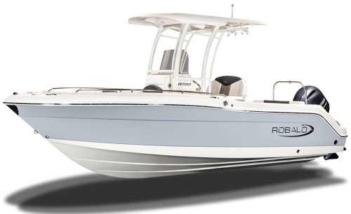 R222-light